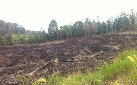 71364392480_freesize